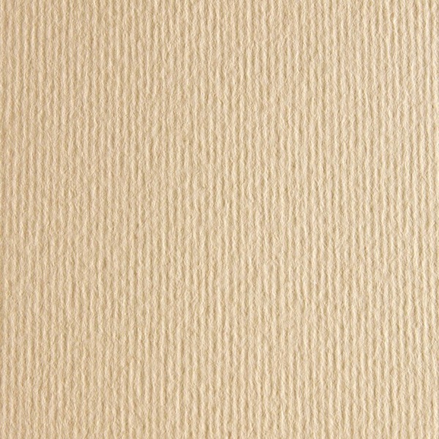 изображение Бумага цветная fabriano cartacrea 220г 21x29,7 бежев