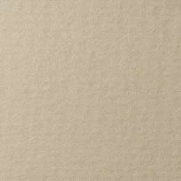 фотография Бумага для пастели lana, 160 г/м2, лист 70х100 см, жемчужный