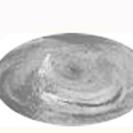 картинка Паста бронзовая для золочения ferrario, 20 мл, № 1 серебро