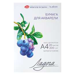 картинка Папка с бумагой для акварели ладога а4 подарок