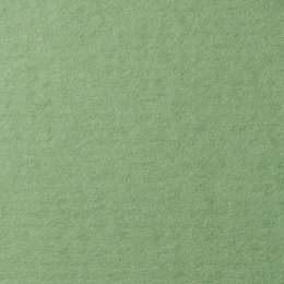 изображение Бумага для пастели lana, 160 г/м2, лист 50х65 см, зелёный сок