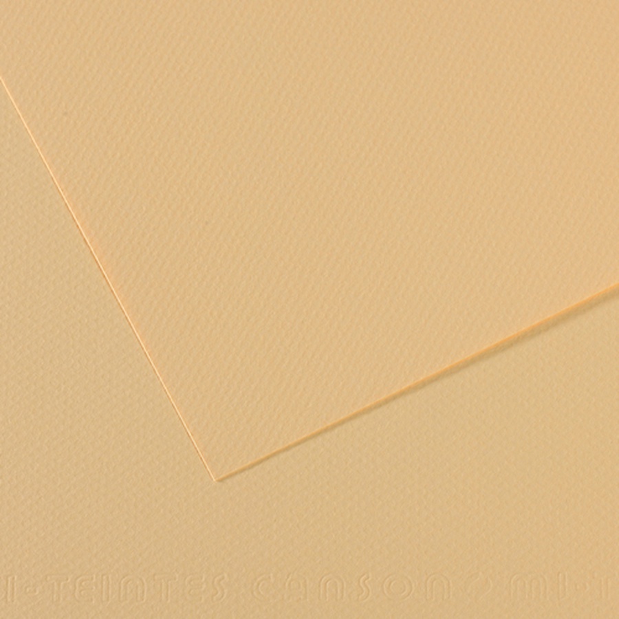 картинка Бумага для пастели canson mi-teintes, 160 г/м2, лист 50х65 см, № 407 кремовый