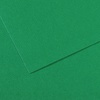 фото Бумага для пастели canson mi-teintes, 160 г/м2, лист 50х65 см, № 575 тёмно-зелёный