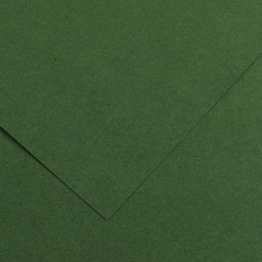 фотография Canson ирис вивальди, 50х65, 240г,№31,тёмн.зелёный