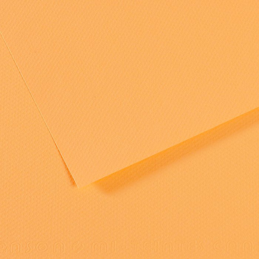 изображение Бумага для пастели canson mi-teintes, 160 г/м2, лист а4, № 470 кукурузный