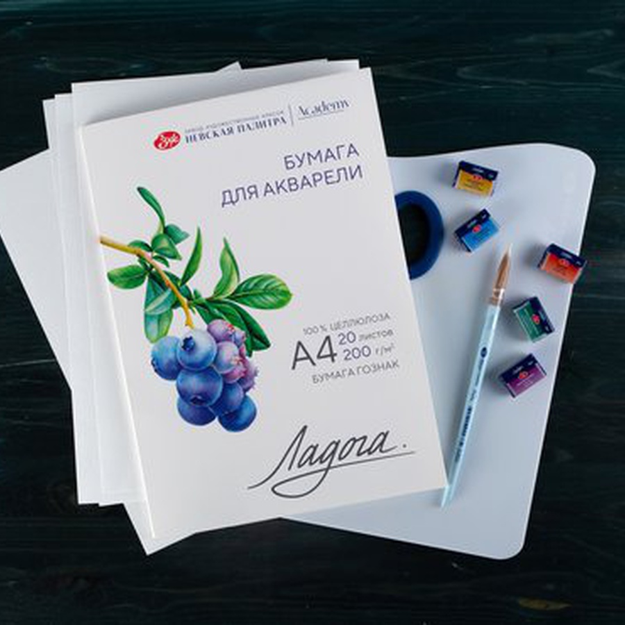 фото Папка с бумагой д/акв. ладога,а4,200г/м2,20л