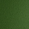 картинка Бумага цветная fabriano cartacrea 220г 21x29,7 тем-зел