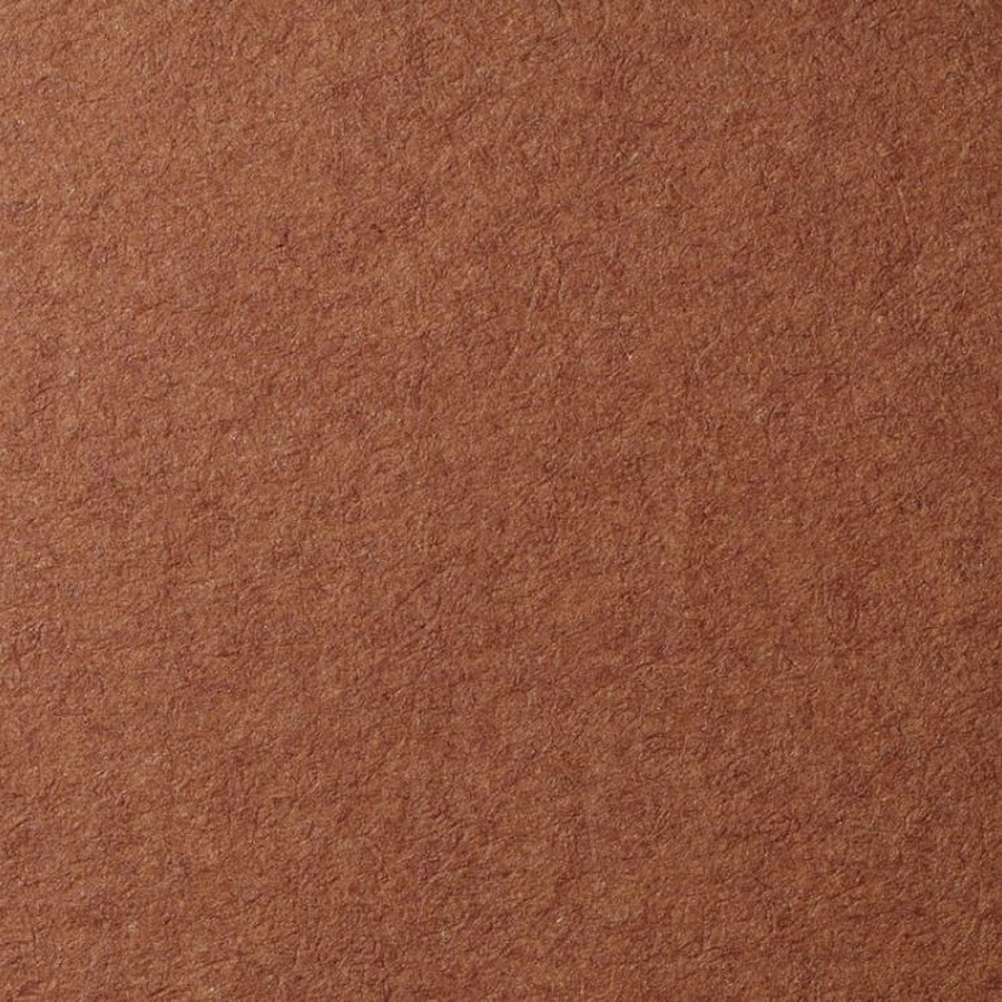 фотография Бумага для пастели lana, 160 г/м2, лист а3, тёмно-коричневый