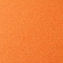 картинка Бумага для пастели lana, 160 г/м2, лист 50х65 см, оранжевый