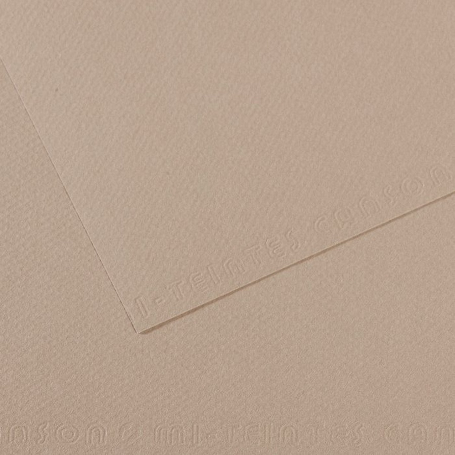 картинка Бумага для пастели canson mi-teintes, 160 г/м2, лист 50х65 см, № 122 серая фланель