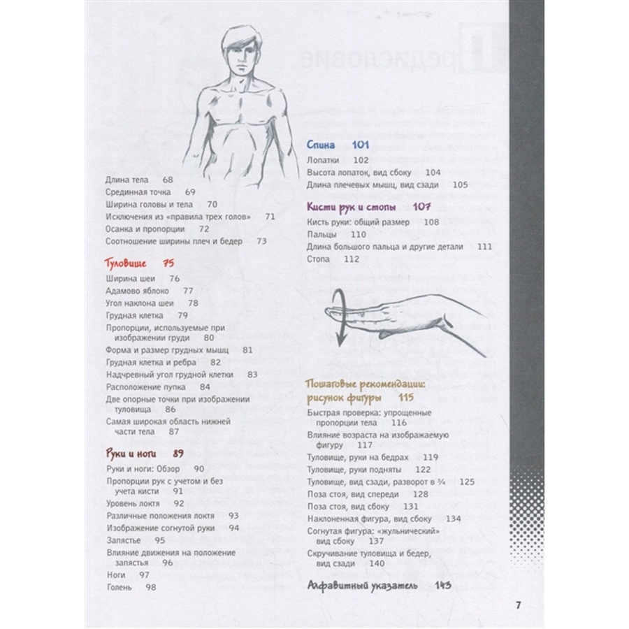 изображение Пособие учимся рисовать человеческие пропорции