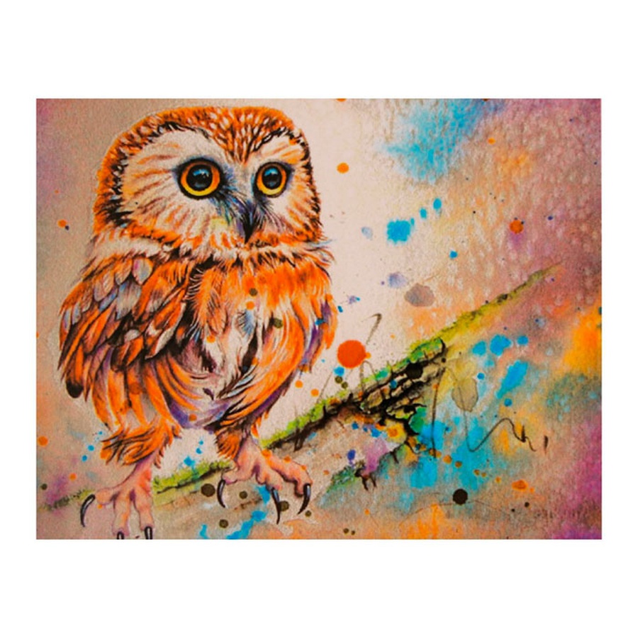 фотография Роспись по холсту «яркая сова», 30 × 40 см