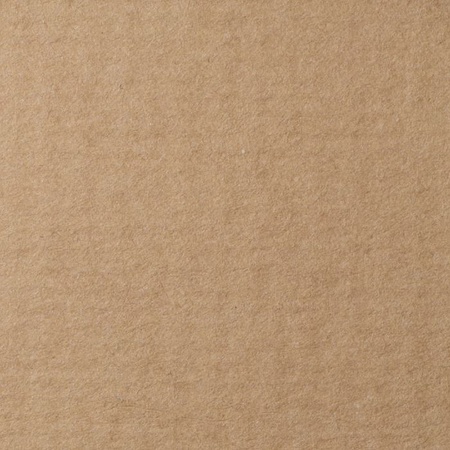 фотография Бумага для пастели lana, 160 г/м2, лист а3, светло-коричневый