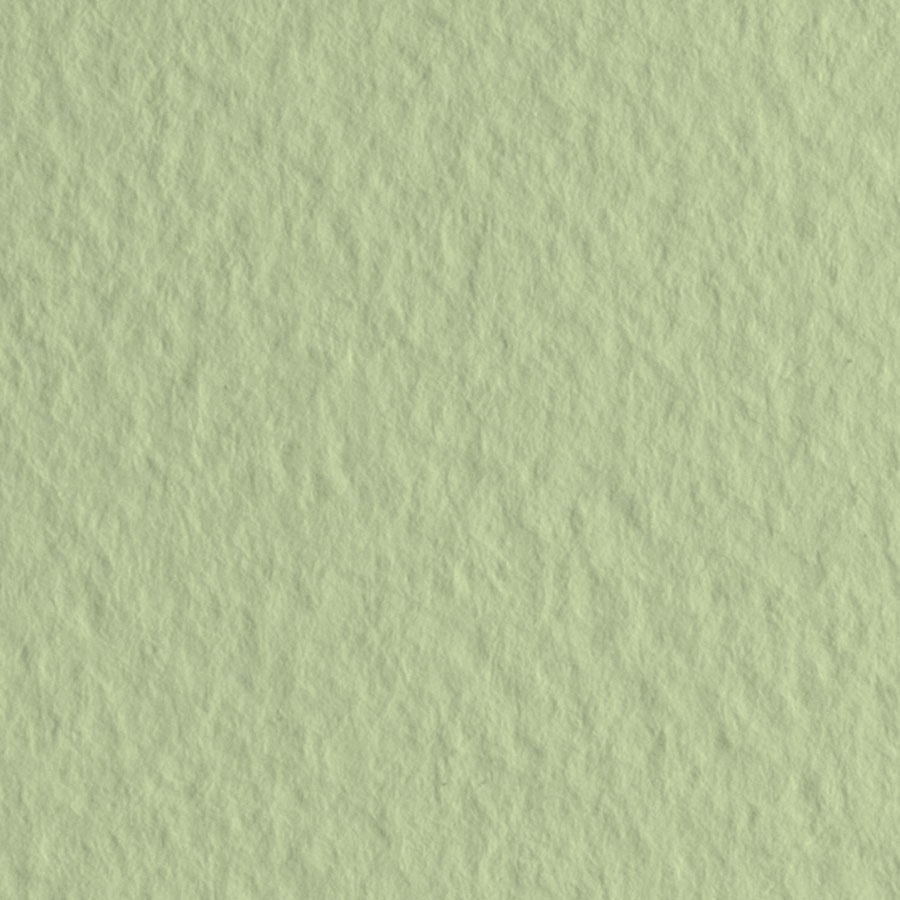 изображение Бумага для пастели fabriano tiziano, 160 г/м2, лист а4, зелёный светлый № 11