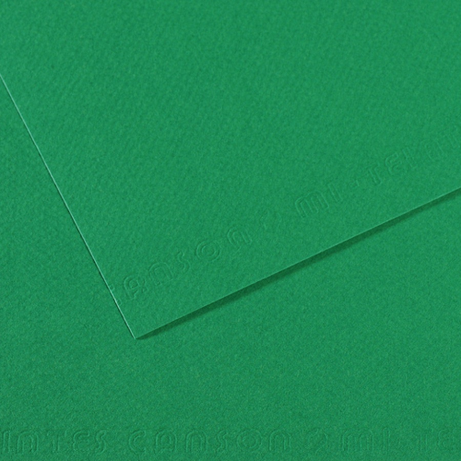 фото Бумага для пастели canson mi-teintes, 160 г/м2, лист 50х65 см, № 575 тёмно-зелёный