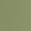 картинка Бумага для пастели fabriano tiziano, 160 г/м2, лист 50x65 см, зелёный мох № 14