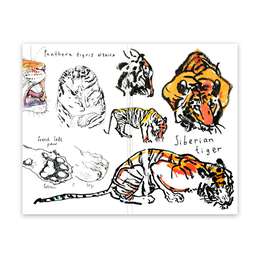 изображение Скетчбук maxgoodz pocket fox and owl a6, 32 листа, 100 г/м2, амурский тигр