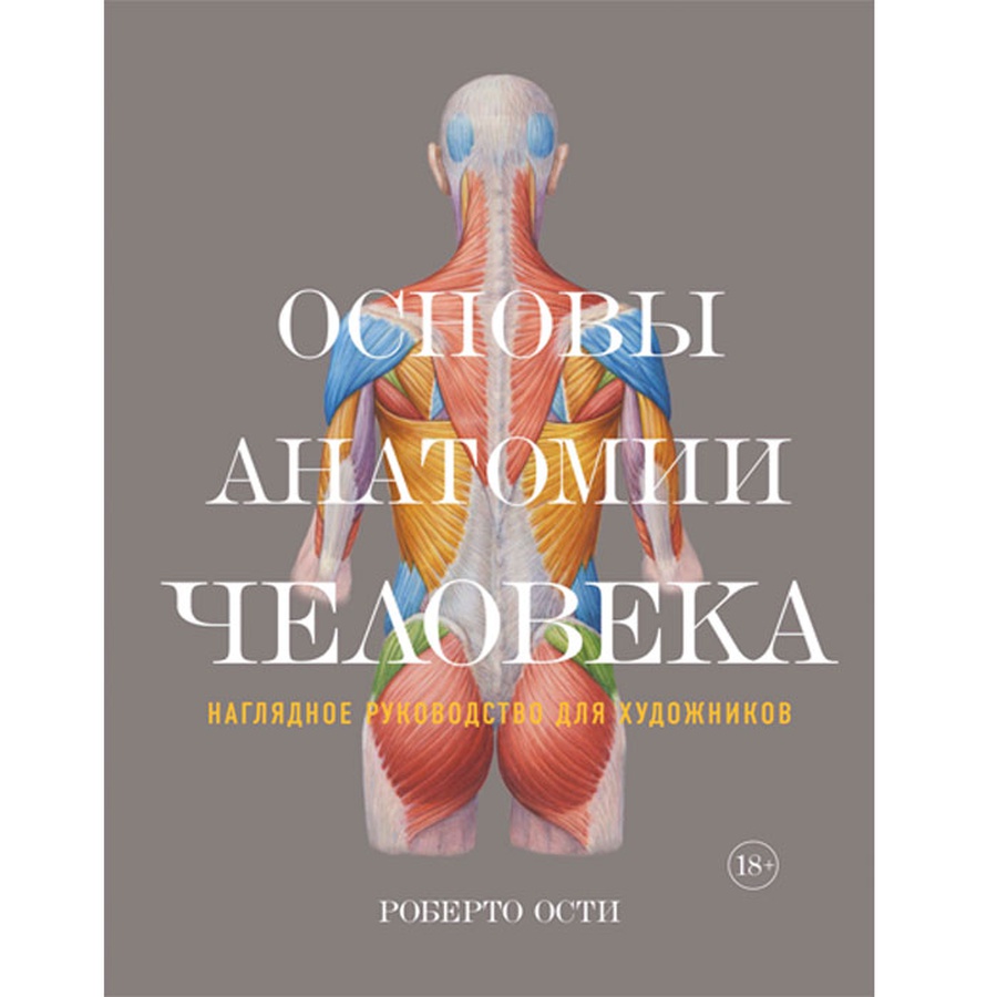 фото Основы анатомии человека.наглядное руководство для художника