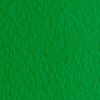 фото Бумага для пастели fabriano tiziano 160г 70x100 темно-зеленый