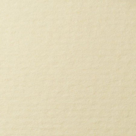 фотография Бумага для пастели lana, 160 г/м2, лист 50х65 см, кремовый