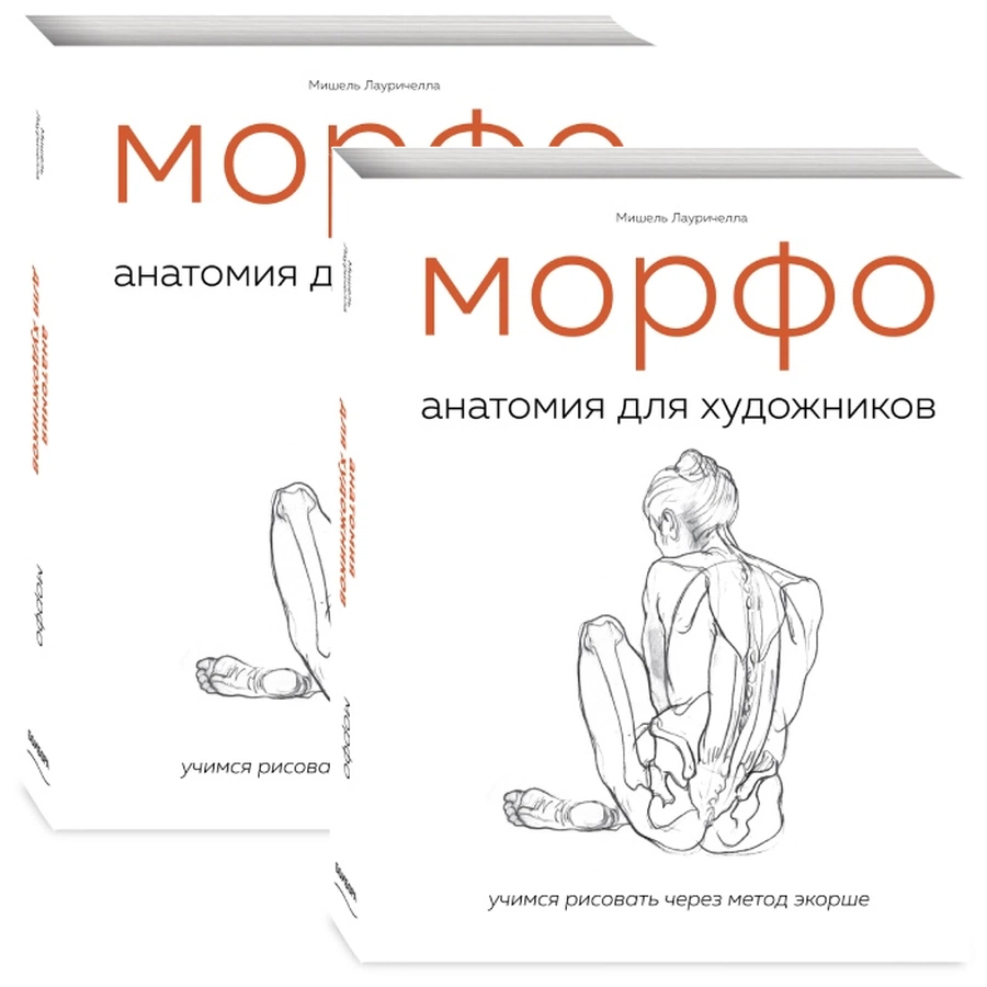 фото Морфо. анатомия для художников