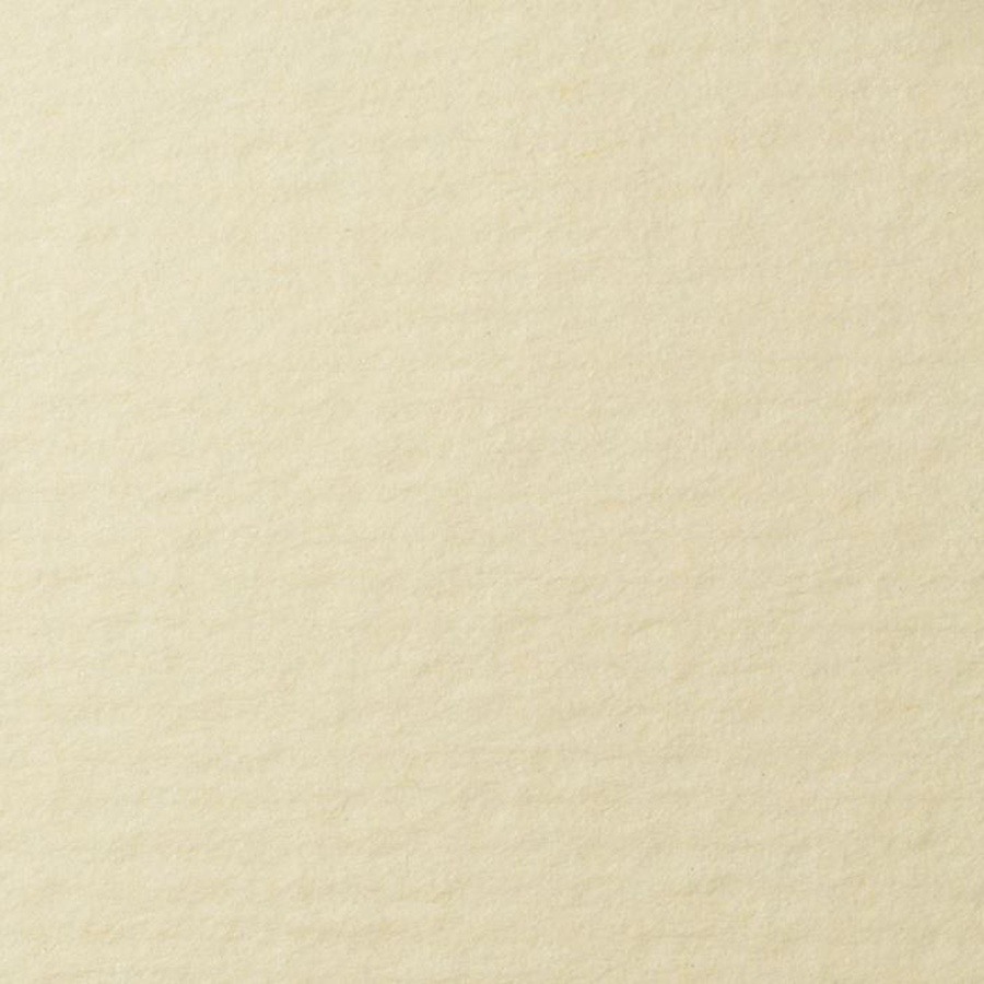 фото Бумага для пастели lana, 160 г/м2, лист 50х65 см, кремовый