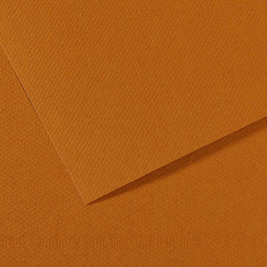 картинка Бумага для пастели canson mi-teintes, 160 г/м2, лист 50х65 см, № 502 светло-коричневый