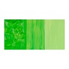 картинка Краска акриловая sennelier abstract, дой-пак 120 мл, жёлто-зелёный яркий