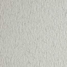 картинка Бумага цветная fabriano cartacrea 220г 21x29,7 иней