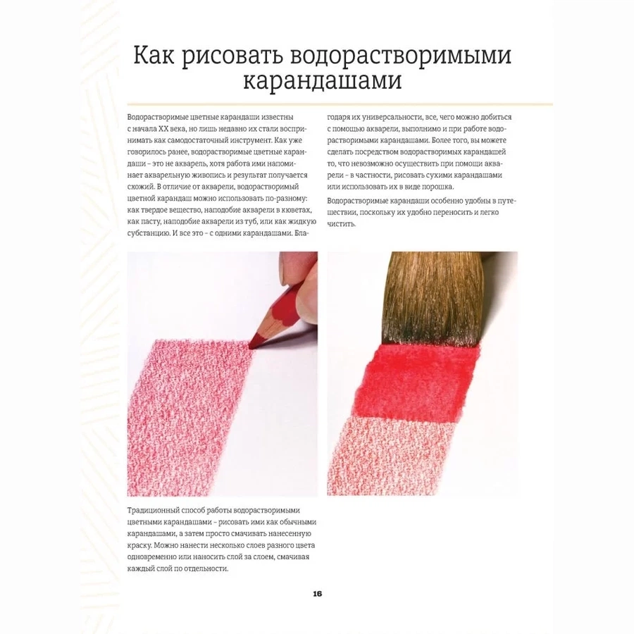 фото Книга "школа художника. рисуем реалистичные картины цветными карандашами. пошаговые уроки."