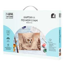 картинка Картина по номерам на холсте "полярная сова", 40х50 см