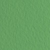 фото Бумага для пастели fabriano tiziano, 160 г/м2, лист 50x65 см, зелёный луг № 12