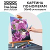 фотография Картина по номерам на холсте "сирень", 30*40 см