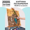 картинка Картина по номерам на холсте "сонные совы", 40х50 см