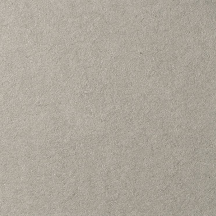 фото Бумага для пастели lana, 160 г/м2, лист 50х65 см, холодный серый