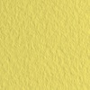 картинка Бумага для пастели fabriano tiziano, 160 г/м2, лист а4, жёлтый лимонный № 20