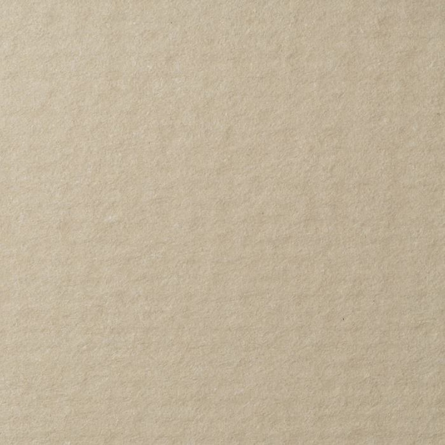 фото Бумага для пастели lana, 160 г/м2, лист а4, жемчужный