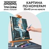 фото Картина по номерам "трепет перед выступлением", 30х40 см