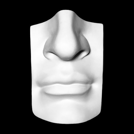 изображение Гипсовое учебное пособие экорше нос с губами давида, размер - 16х11х25 см
