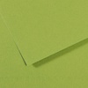 изображение Бумага для пастели canson mi-teintes, 160 г/м2, лист 75х110 см, № 475 зелёное яблоко