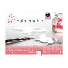 картинка Склейка для акварели hahnemuhle expression, 300 г/м2, 24х30 см, 100% хлопок, 20 листов, среднее зерно