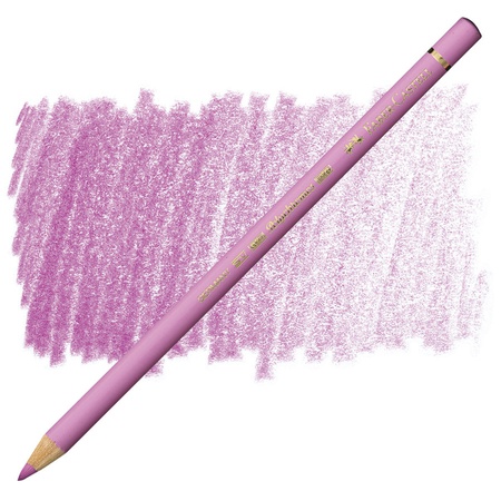 Профессиональные цветные карандаши Faber-Castell Polychromos обладают мягкими вощёными грифелями. Эти карандаши содержат превосходные светостойкие и …