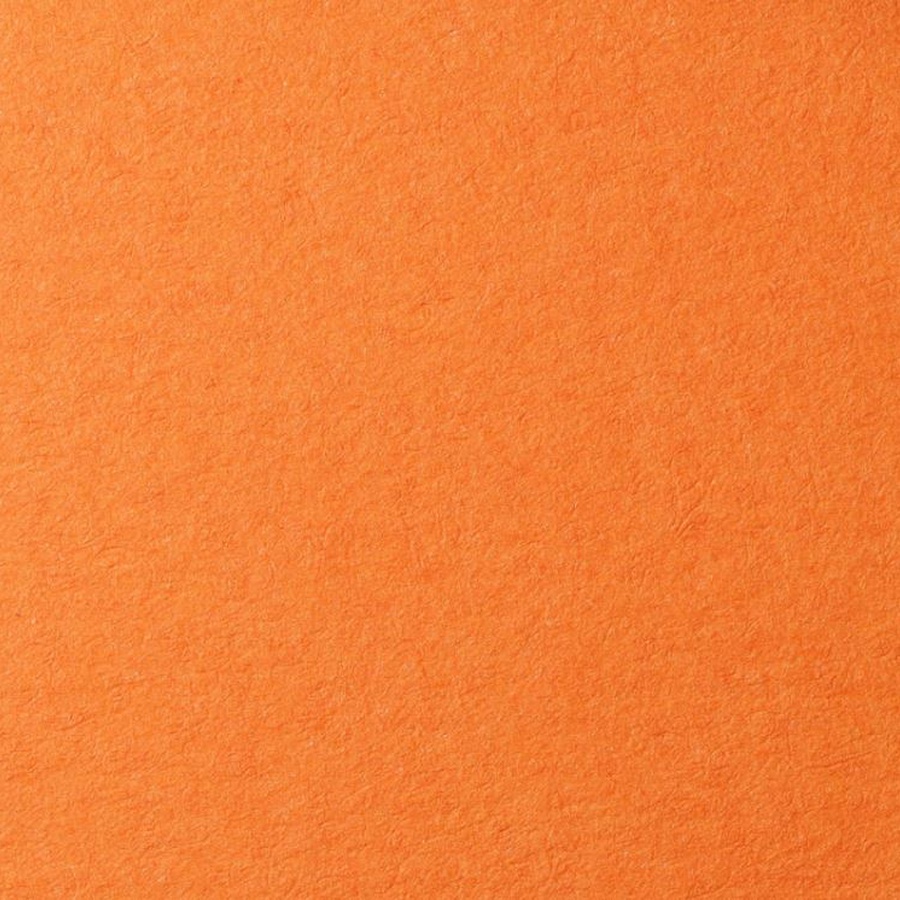 фото Бумага для пастели lana, 160 г/м2, лист а4, оранжевый