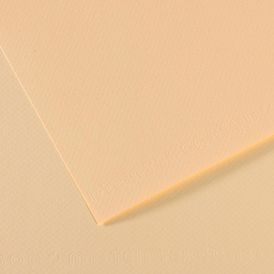фотография Бумага для пастели canson mi-teintes, 160 г/м2, лист а4, № 111 слоновая кость