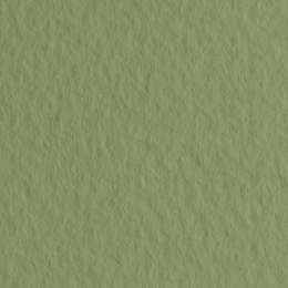 фотография Бумага для пастели fabriano tiziano, 160 г/м2, лист 50x65 см, зелёный мох № 14