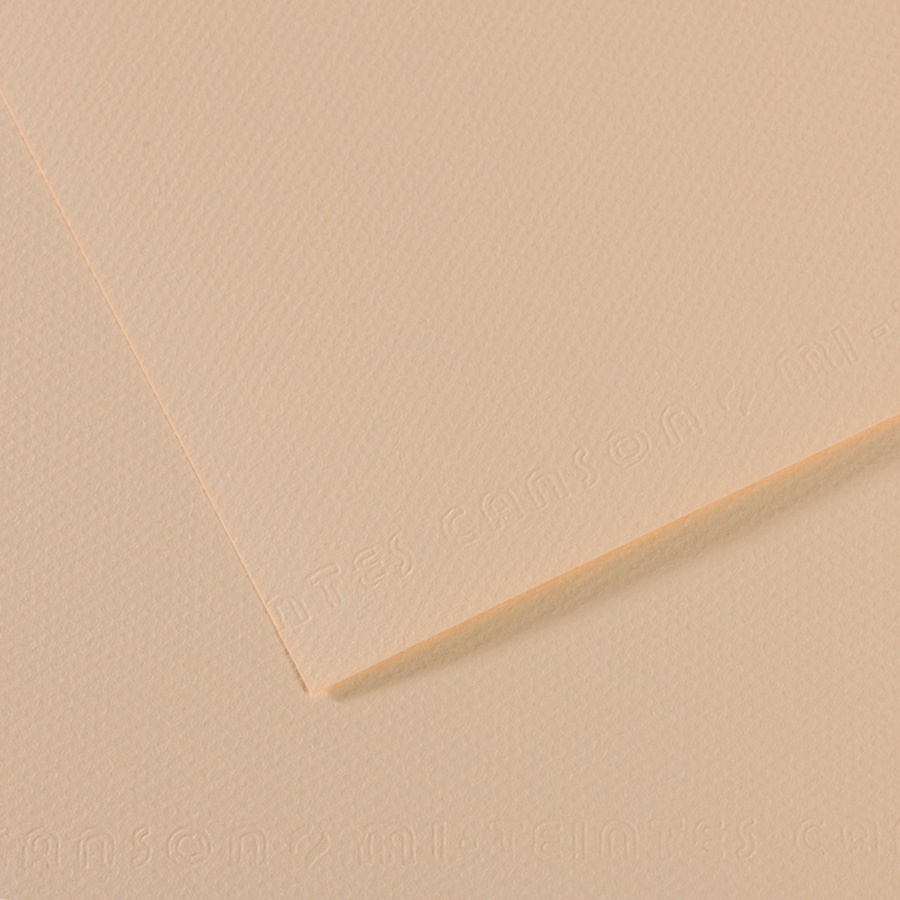 картинка Бумага для пастели canson mi-teintes, 160 г/м2, лист 75х110 см, № 112 скорлупа