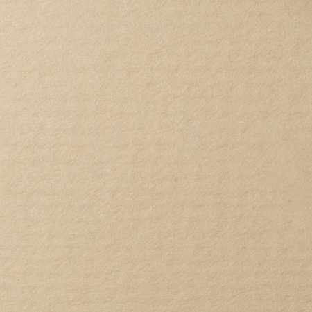 фото Бумага для пастели lana, 160 г/м2, лист а3, белый серый