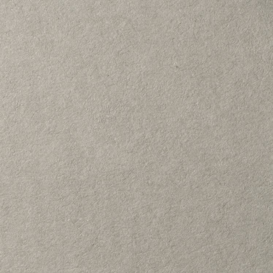 фото Бумага для пастели lana, 160 г/м2, лист 70х100 см, холодный серый
