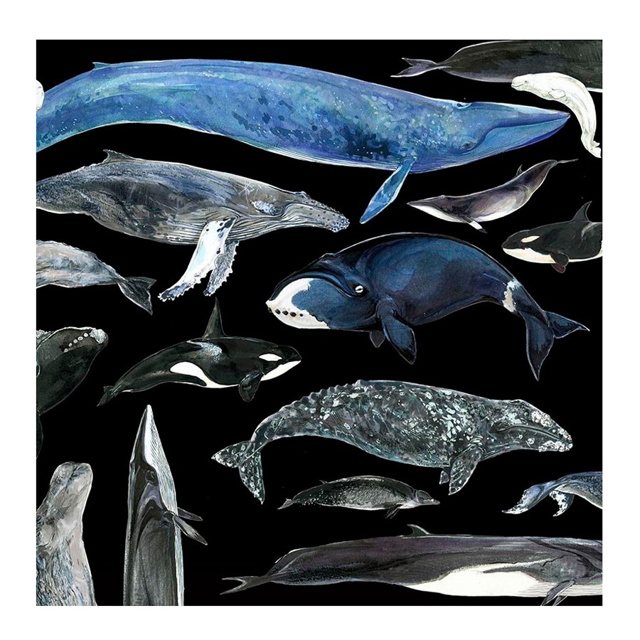 картинка Скетчбук maxgoodz classic fox and owl black a5, 32 листа, 120 г/м2, киты