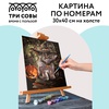 фотография Картина по номерам на холсте "заколдованный котик",30х40 см